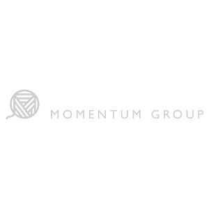 Momentum Group